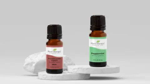 Best-Selling Plant Therapy Essential Oils To Shop Now